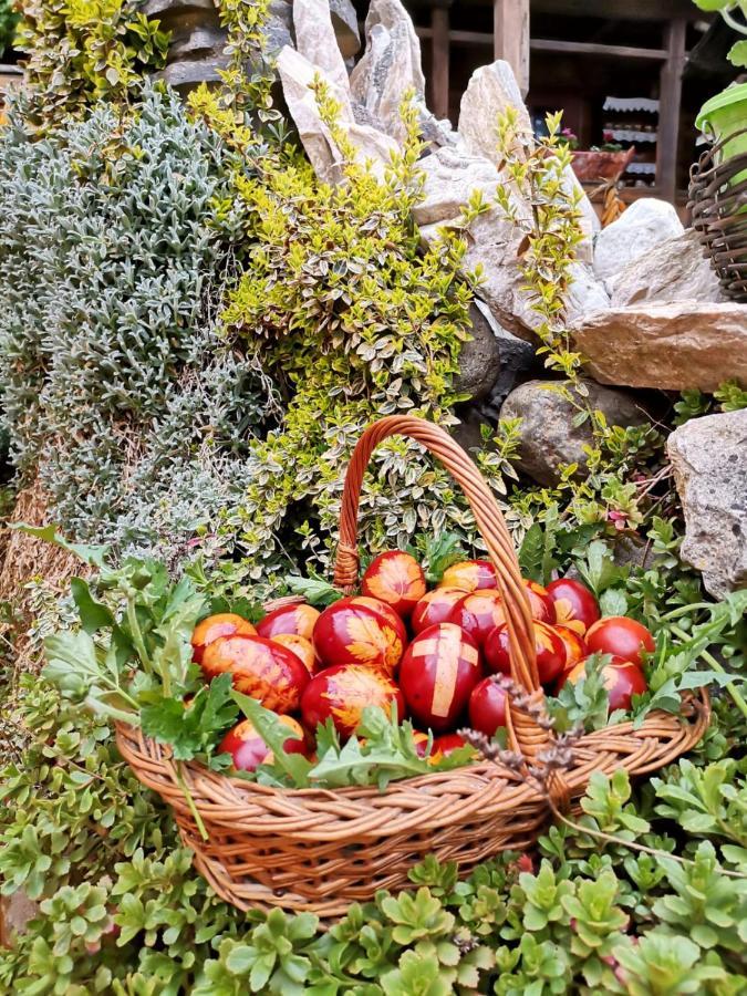 Pensiunea Rustic Oncesti Exteriér fotografie