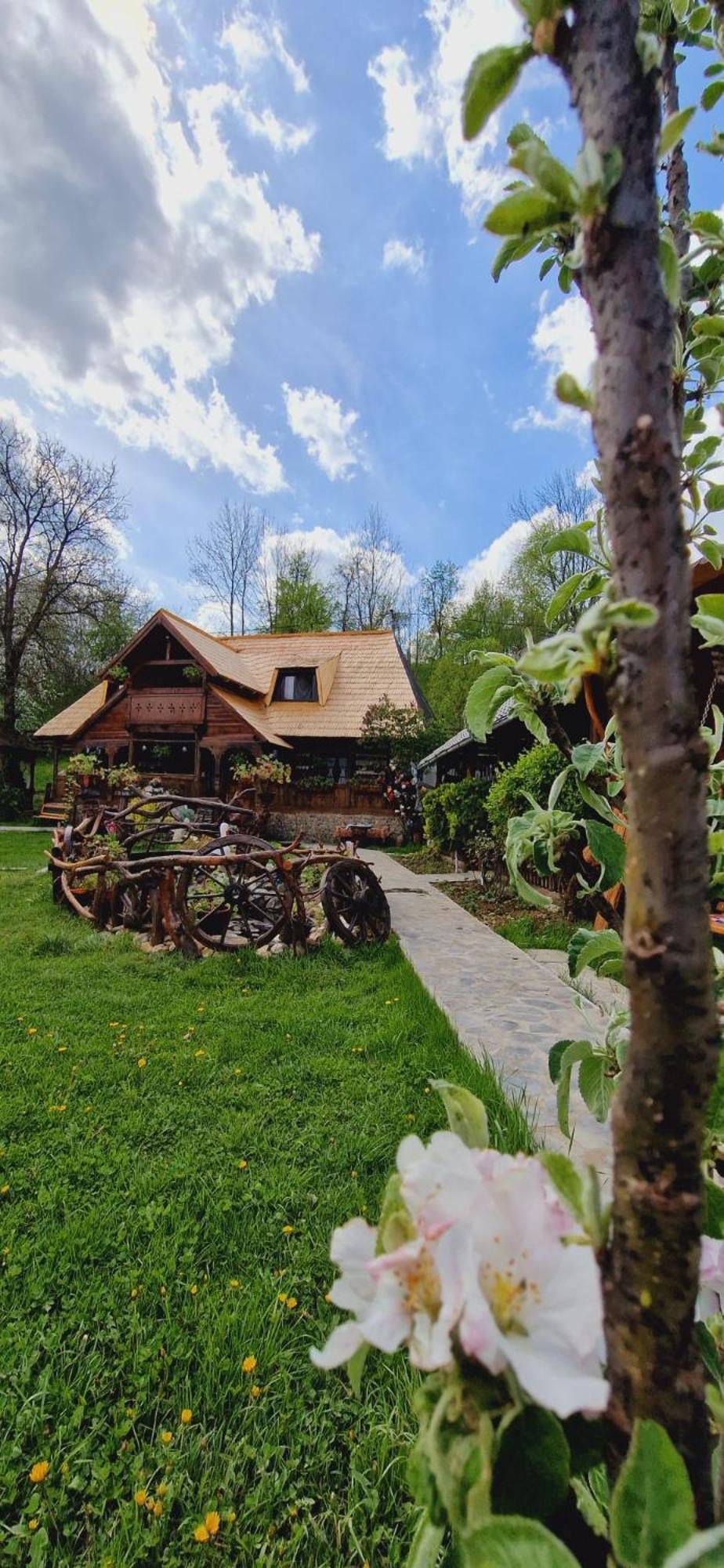 Pensiunea Rustic Oncesti Exteriér fotografie