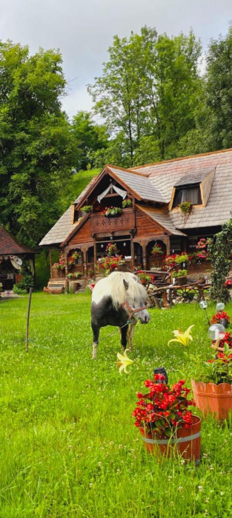 Pensiunea Rustic Oncesti Exteriér fotografie