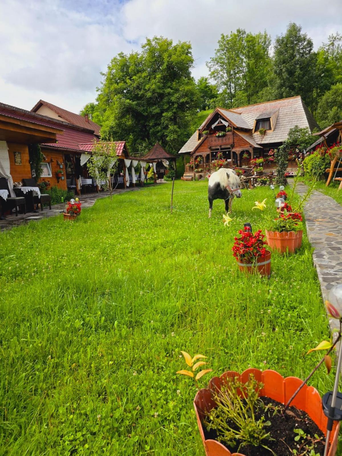 Pensiunea Rustic Oncesti Exteriér fotografie